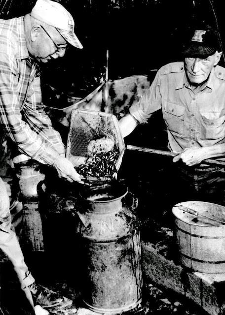 10353114_10152256497086344_715007548986698271_n