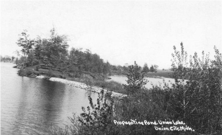 owner's point 2 ron chard